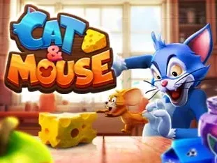 Cat & Mouse