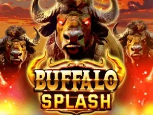 Buffalo Splash